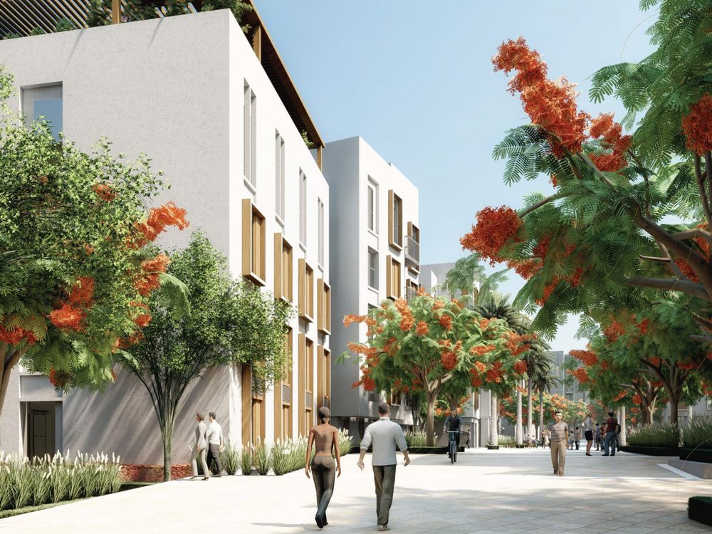 Shaded street with planting at the Amaala Staff Village